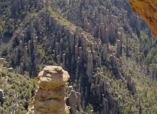 arizona/chiricahua-mountains/attraction/johnny-ringo-grave