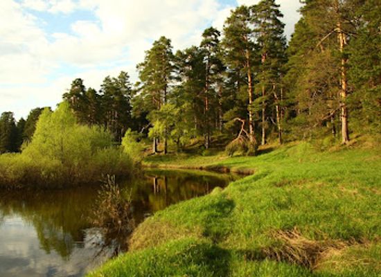 lithuania/suvalkija/attraction/hill-of-witches