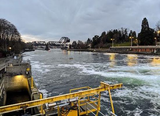 washington/seattle/attraction/ballard-locks-fish-ladder