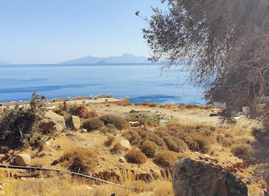 greece/kos/attraction/gelandeweg-mit-grossen-oleanderbuschen