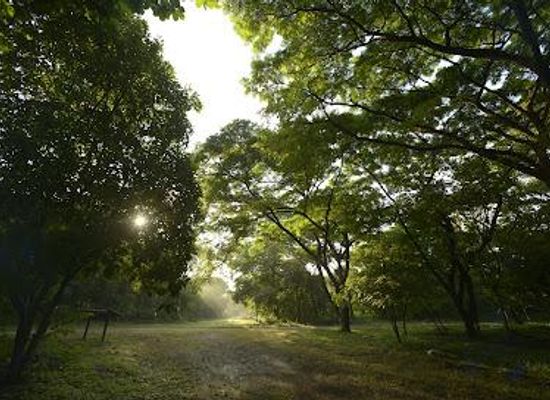 ecuador/guayaquil/attraction/bosque-protector-cerro-blanco