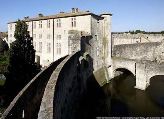 france/montpellier/attraction/towers-and-walls-of-aigues-mortes