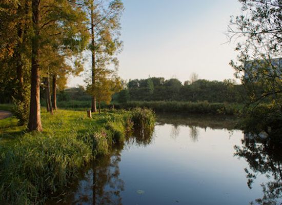 netherlands/delfland/attraction/park-groenoord