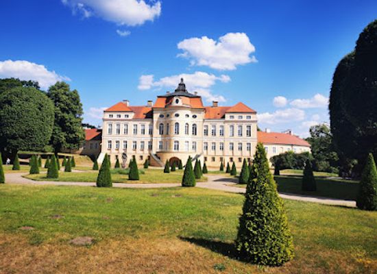 poland/greater-poland/attraction/raczynski-palace-in-rogalin
