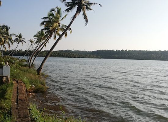 india/kerala/attraction/our-lady-of-pallithody-grotto