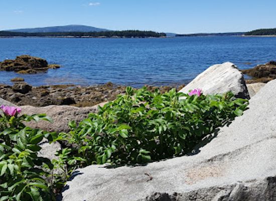 maine/hancock-county/attraction/schoodic-point