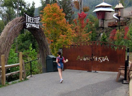 tennessee/gatlinburg/attraction/treehouse-village