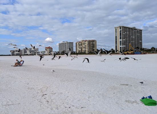 florida/marco-island/attraction/residents-beach