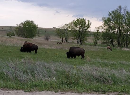 iowa/ottumwa/attraction/neal-smith-national-wildlife-refuge