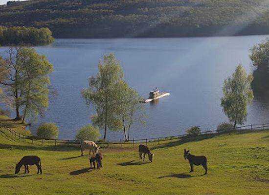 france/limousin/attraction/centre-international-d-art-et-du-paysage-de-vassiviere