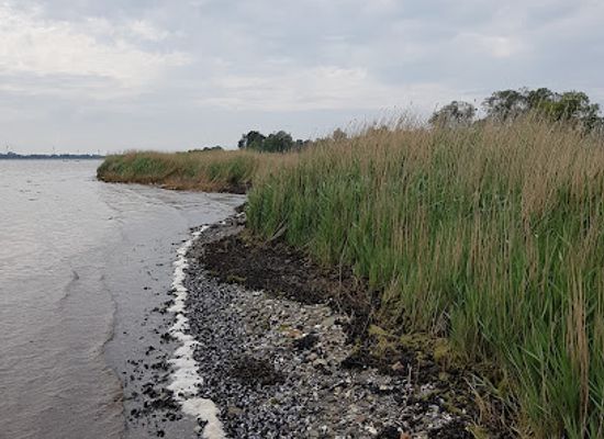 denmark/the-north-sea-islands/attraction/lammefjorden