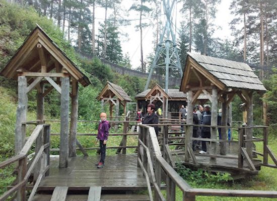 czechia/sumava/attraction/sovi-voliery-borova-lada