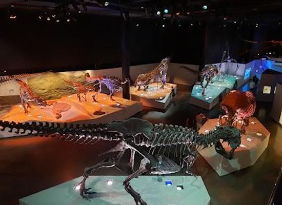 texas/houston/attraction/houston-museum-of-natural-science