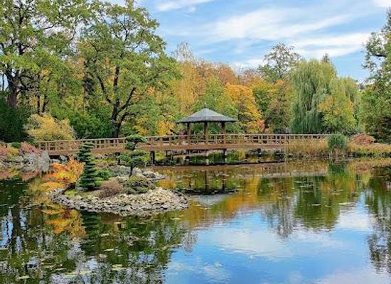 poland/wroclaw/attraction/ogrod-japonski