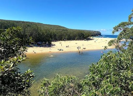 australia/sydney/attraction/wattamolla-beach