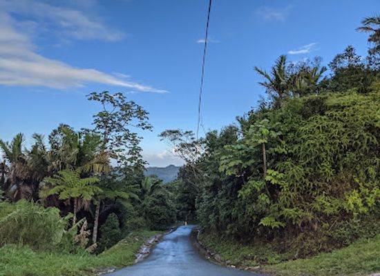 puerto-rico/central-mountain-range/attraction/mirador-villalba-orocovis