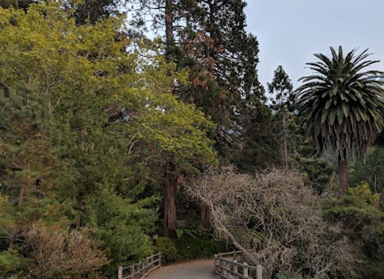 california/berkeley/uc-berkeley-campus/attraction/university-of-california-botanical-garden