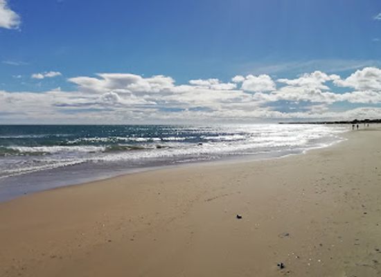 france/languedoc-coast/attraction/plage-des-dunes