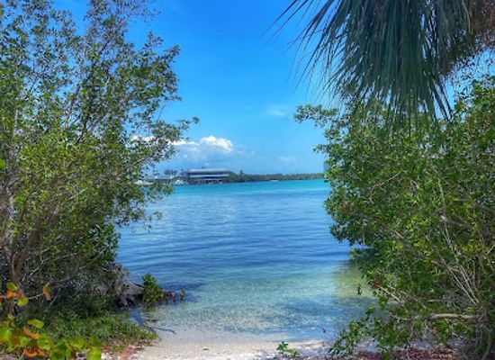 florida/nature-coast/attraction/quick-point-nature-preserve
