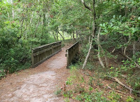 north-carolina/crystal-coast/attraction/emerald-isle-woods-park