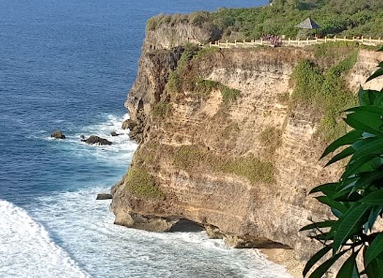indonesia/bali/attraction/deluang-sari-penangkaran-penyu-bali-tanjung-benoa