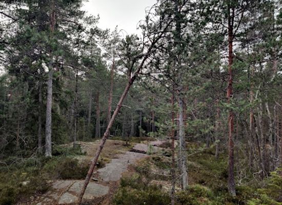finland/espoo/attraction/harmaakallio-rock