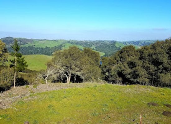 california/east-bay/attraction/tilden-regional-park
