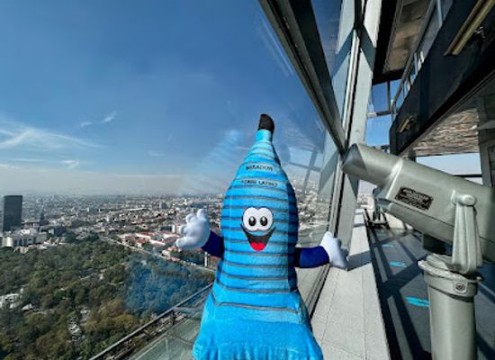 mexico/valley-of-mexico/attraction/mirador-torre-latino