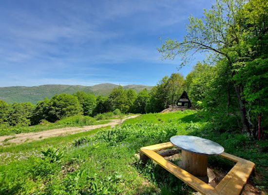 kosovo/has/attraction/garishte