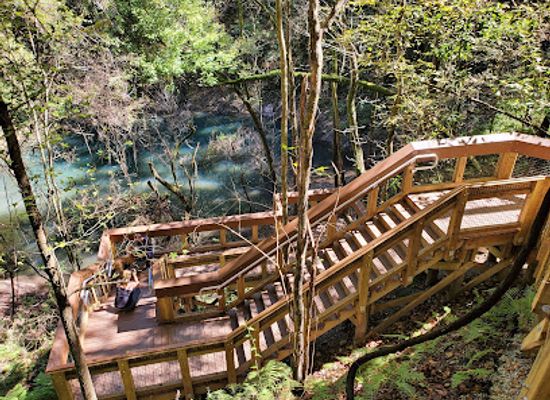 florida/gainesville-area/attraction/devil-s-millhopper-geological-state-park