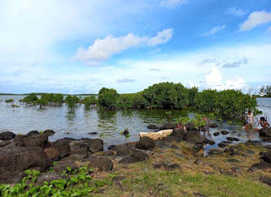 mauritius/riviere-du-rempart/attraction/melville-beach