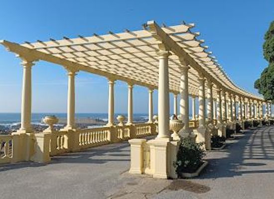 portugal/douro-valley/attraction/pergola-da-nevogilde