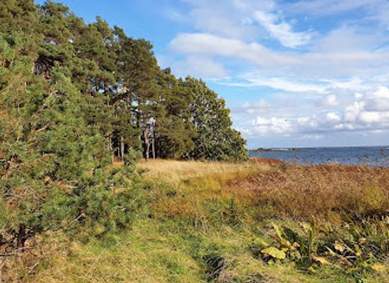 sweden/kalmar/attraction/svino-nature-reserve