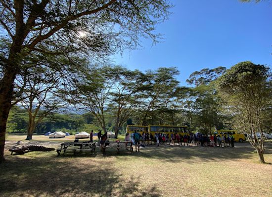 kenya/aberdare-range/attraction/malewa-bush-ventures