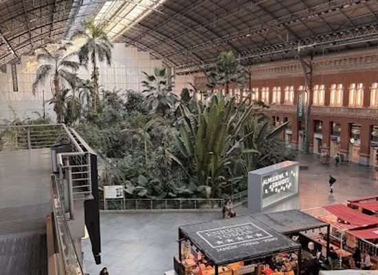 spain/madrid/attraction/tourist-office-atocha-station