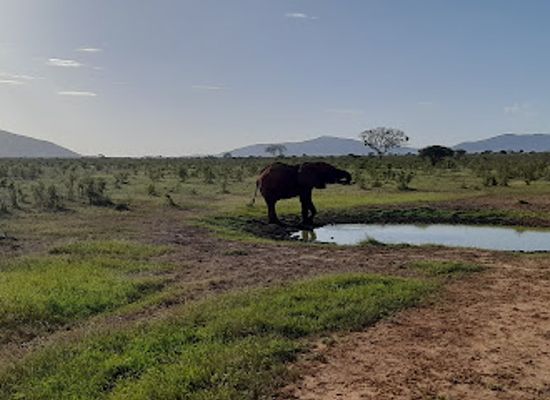 kenya/taita-hills/attraction/tsavo-east-national-park-bachuma-gate