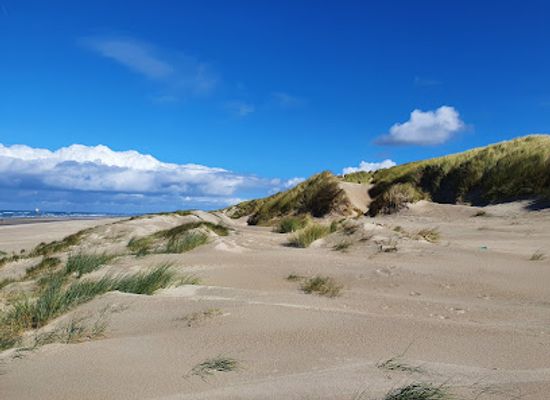 netherlands/texel-island/attraction/nationaal-park-duinen-van-texel