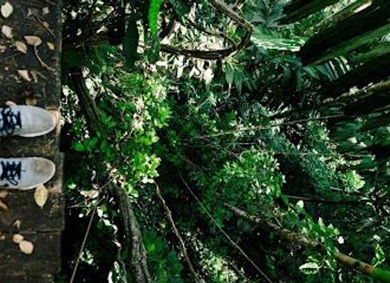 thailand/phuket/attraction/cc-s-eco-tours