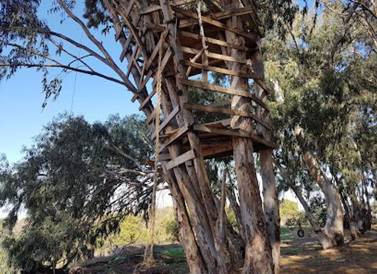israel/kfar-saba/attraction/mshk-brgr-kpr-hs