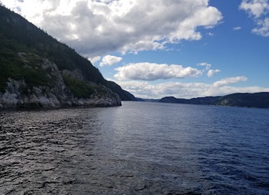 canada/saguenay-lac-saint-jean/attraction/saguenay-st-lawrence-marine-park
