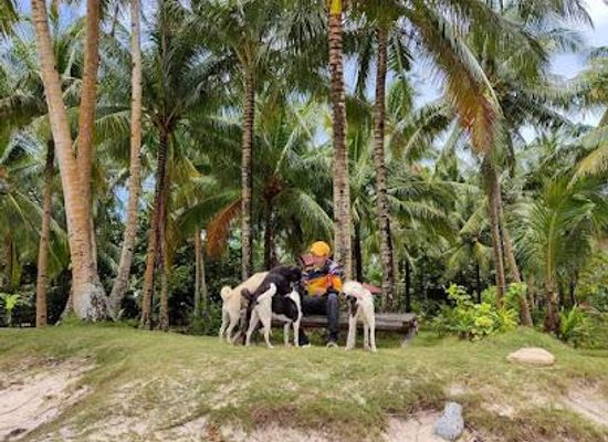 philippines/siargao/attraction/general-luna