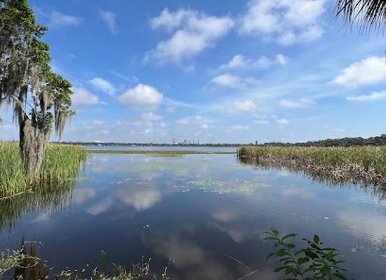 florida/treasure-coast/attraction/boyd-hill-nature-preserve