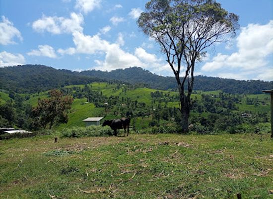 kenya/mount-kenya-national-park/attraction/mt-kenya-national-park