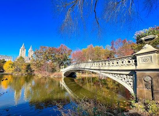 new-jersey/jersey-city/attraction/bow-bridge