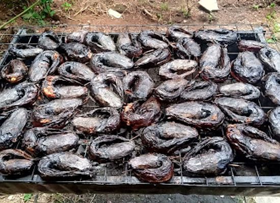 nigeria/south-west/attraction/wittone-farms-battery-revive-depot