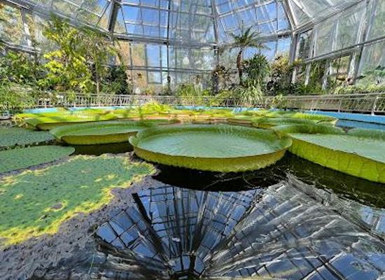 romania/cluj-napoca/attraction/alexandru-borza-botanical-garden