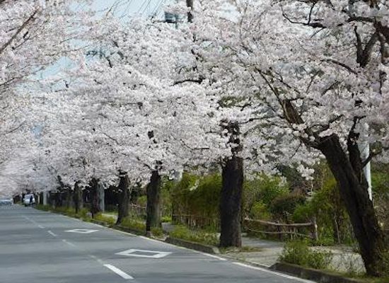 japan/musashi/attraction/nagatoro