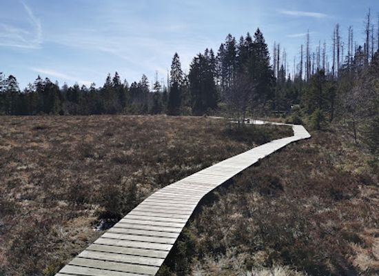 germany/harz-national-park/attraction/waldwandelweg
