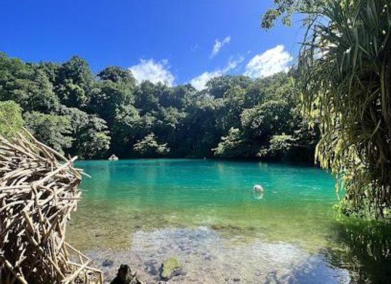 jamaica/port-antonio/attraction/blue-lagoon-tour-portland