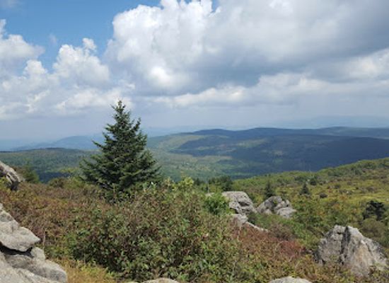 virginia/grayson-highlands-state-park/attraction/mount-rogers-national-recreation-area